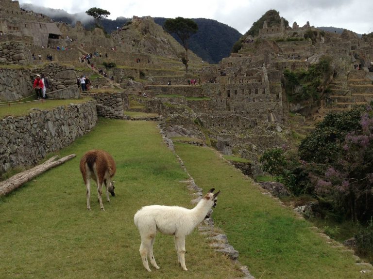 10 Coisas Que Você Precisa Saber Antes De Ir A Machu Picchu - Cup Of Things